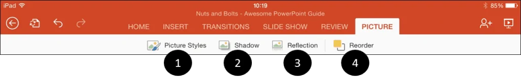PowerPoint for iPad Pictures Tab Icons