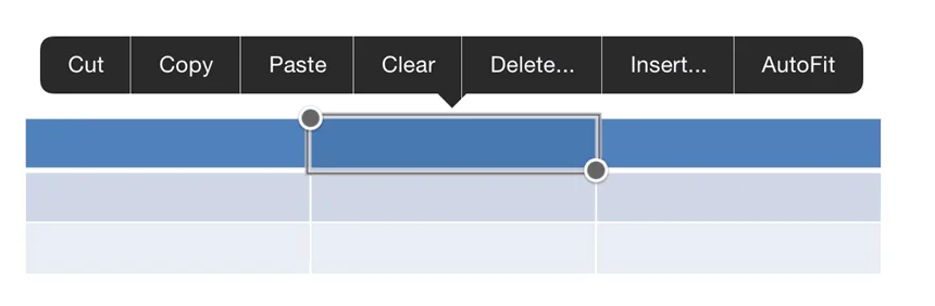 PowerPoint for iPad Table Edit Commands Options
