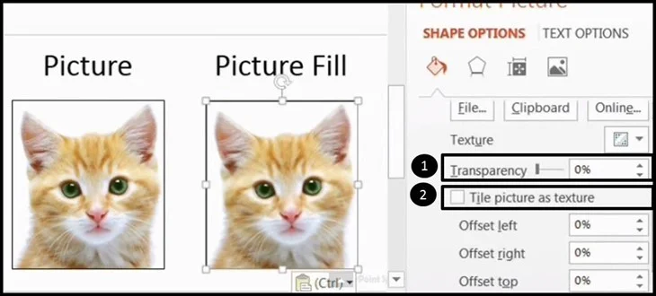 PowerPoint 2013 Upgrade #4 - Expanded Picture Options 4