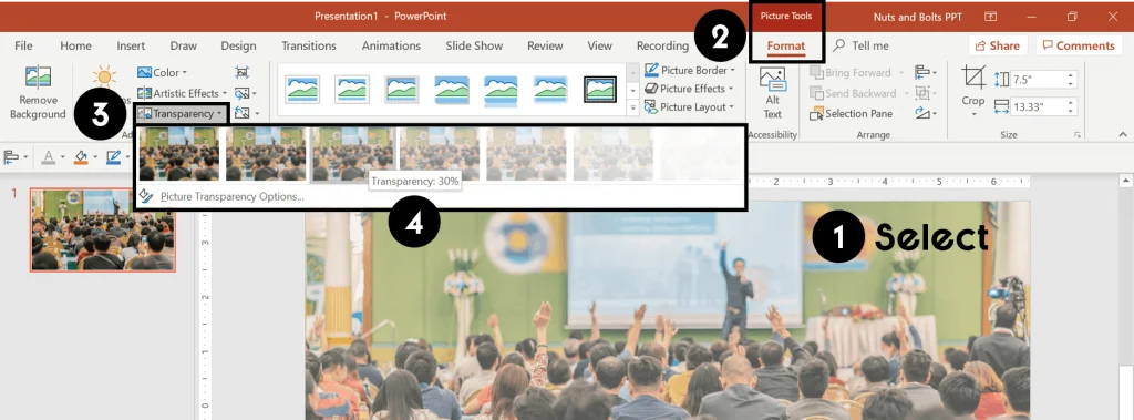 Create-a-transparent-picture