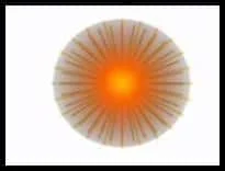 Adv-Animation-Firework-P1S8-Small-flare-on-white