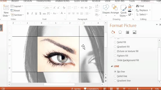 PowerPoint-Zoom-Step-2.4-zoom-in-for-perfection