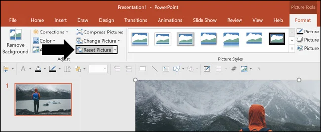 To reset your photo back to its original state, from the Picture Tools Format tab select Reset Picture