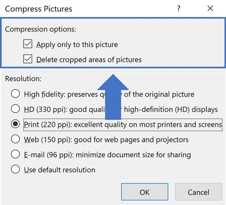 The Compress Pictures command Compression Options