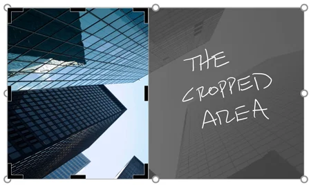 Example of the cropped area being removed from a picture when it is compressed