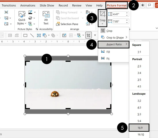 Use the Crop to Aspect ratio to automatically crop your image to your slide size