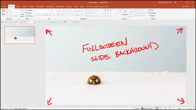 Example of an image cropped to the 16:9 aspect ratio and resized to fit the entire PowerPoint slide