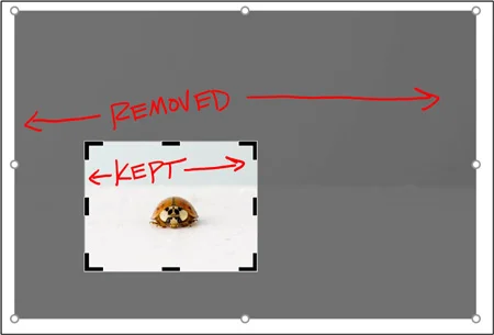 When you use the crop command in PowerPoint, the greyed out area is what will be removed from your image, the colored area is what will remain