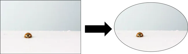 Example using the edit shape, change shape command in PowerPoint to turn a rectangle image into a circle