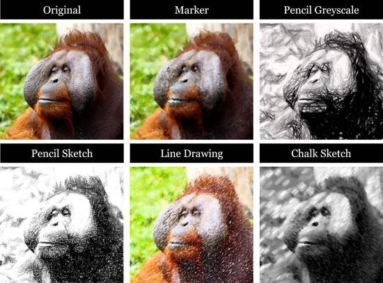 Examples of the types of sketchs you can turn your photos into in PowerPoint