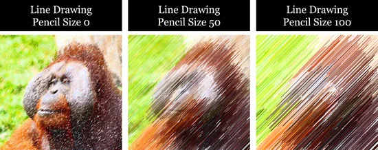 Examples of the line drawing effect on your images in PowerPoint
