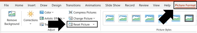 To reset an image in PowerPoint, click the Picture Format tab and then click Reset