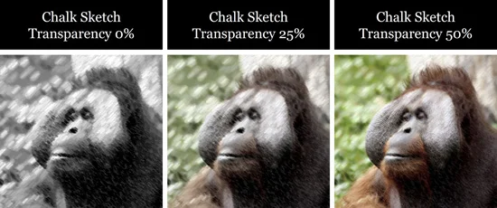 Transparency effect options on your images in PowerPoint
