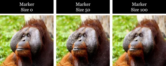 Examples of how brush size effects the images you turn into a sketch in PowerPoint