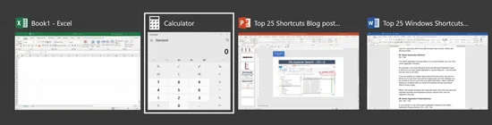 Windows Freeze freezes the applications you have open so you can navigate to the correct one you want to access