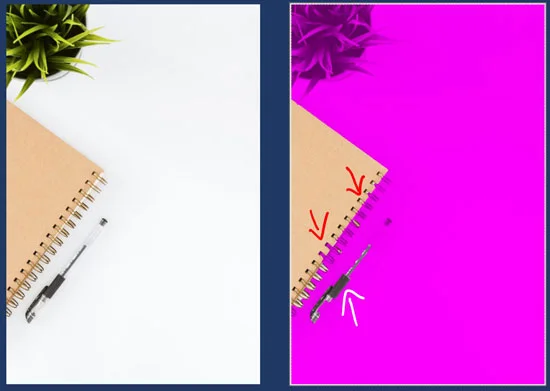 When removing a white background from an image, PowerPoint is not very good at removing the white background around small details