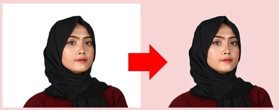 Example of a picture with the white background removed
