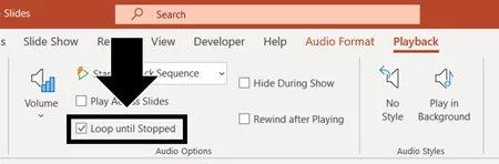 To keep your music playing, even when the song ends, on the playback tab select loop until stopped