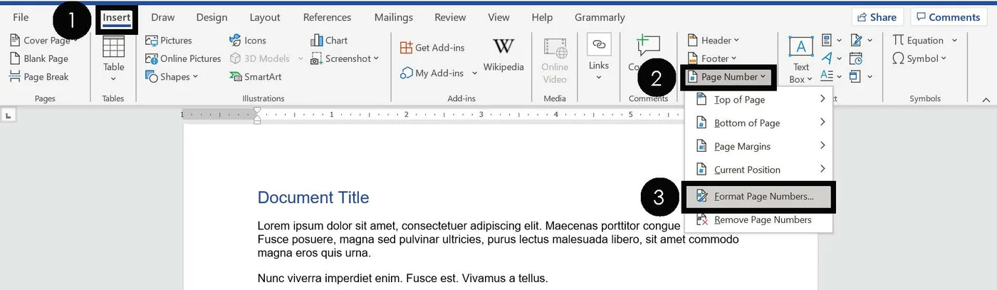 Navigate to the Insert tab Open the Page Number dropdown Select Page Number Format
