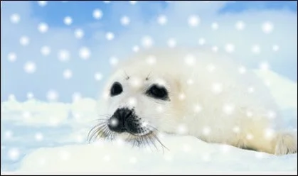 PowerPoint Falling Snow Animation Part 3 Step #2C - Add the Snow to your Picture