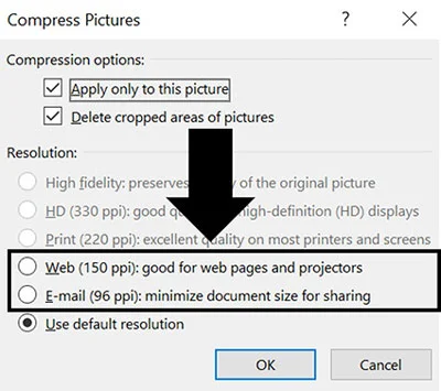 By pasting your image as a JPEG, PowerPoint automatically compresses it to the Web or E-mail compression ratio
