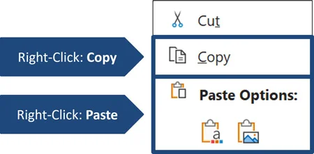 Example of the copy and paste commands in the right-click menu